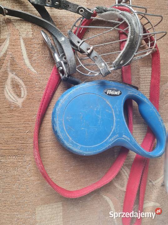 sprzedam smycze kaganiec psa Hrubieszów