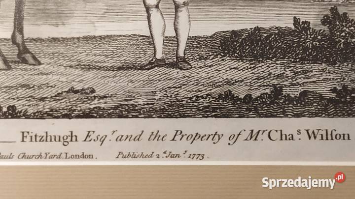 12 grafik z roku 1773 Anglia autor Shaw i inni wielkopolskie Piła