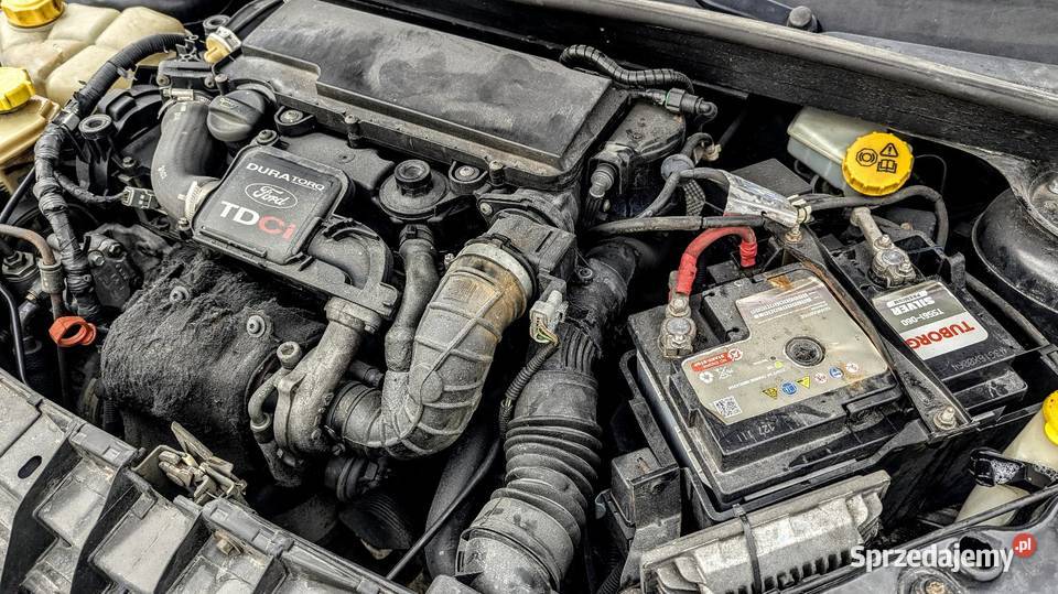 Ford Fiesta 2004 222634 przebiegu 14 diesel ABS Toruń