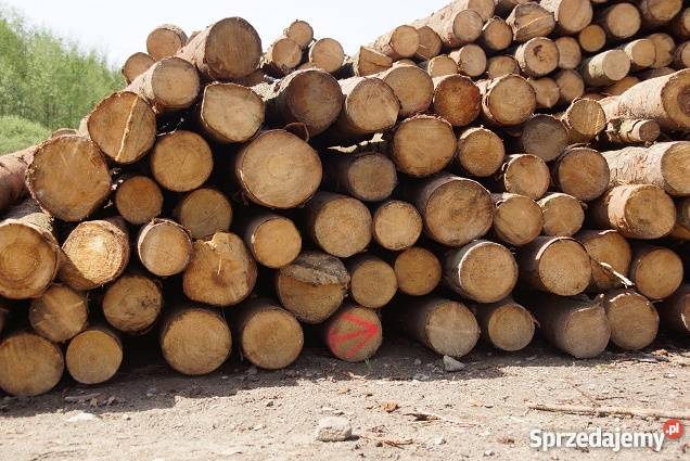 sprzedam drewno s2b Złocieniec