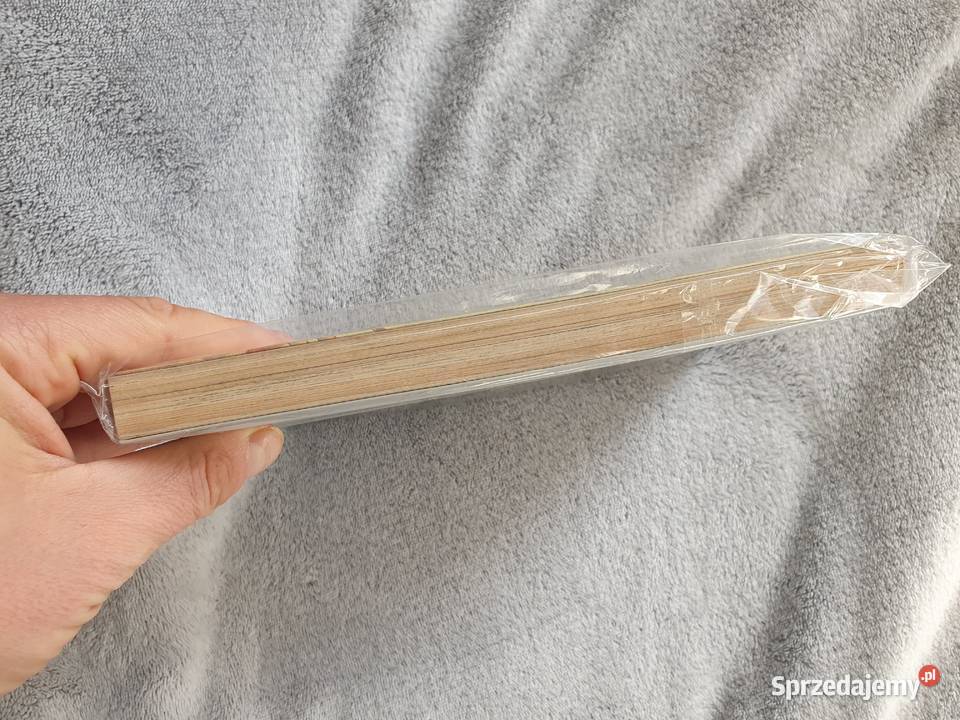 Record of Lodoss Wars The Lady of Pharis Ryo Rok wydania 1994 Gdynia