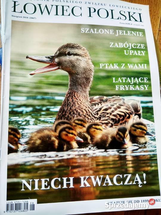 Czasopisma kolekcje księgarnie Warszawa