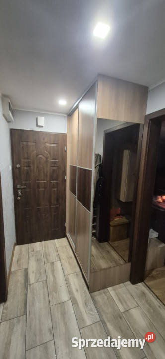 Sprzedam mieszkanie W cichej okolicy balkon Sprzedaż kujawsko-pomorskie Brodnica