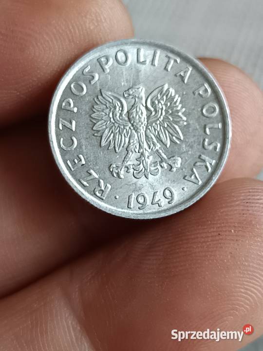 Sprzedam groszy 1949 vvv Chełm