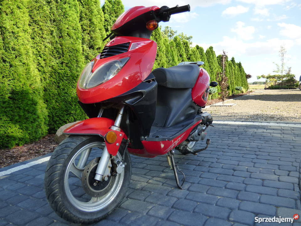 Skuter Zipp steed 50 Tanio Wielkolas