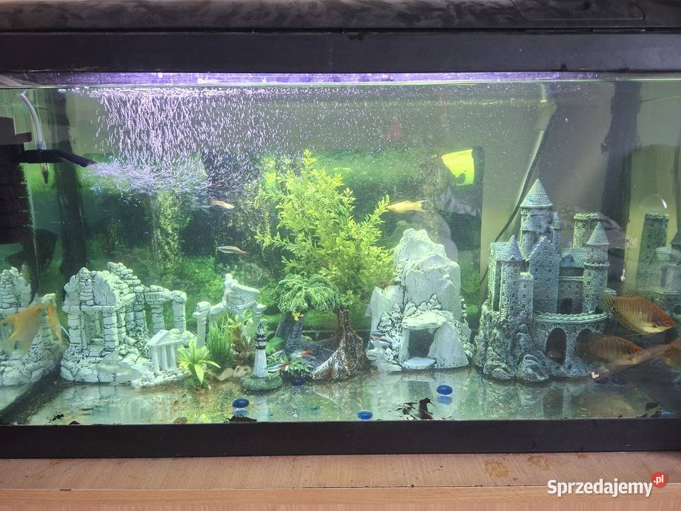 Sprzedam akwarium Nowy Targ sprzedam