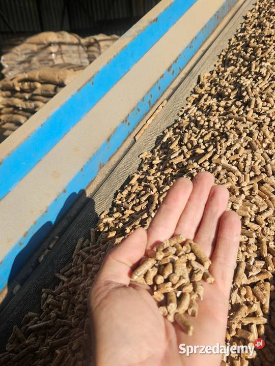 Pellet drzewny pelet sylwa olczyk barlinek Opał pomorskie Gdańsk