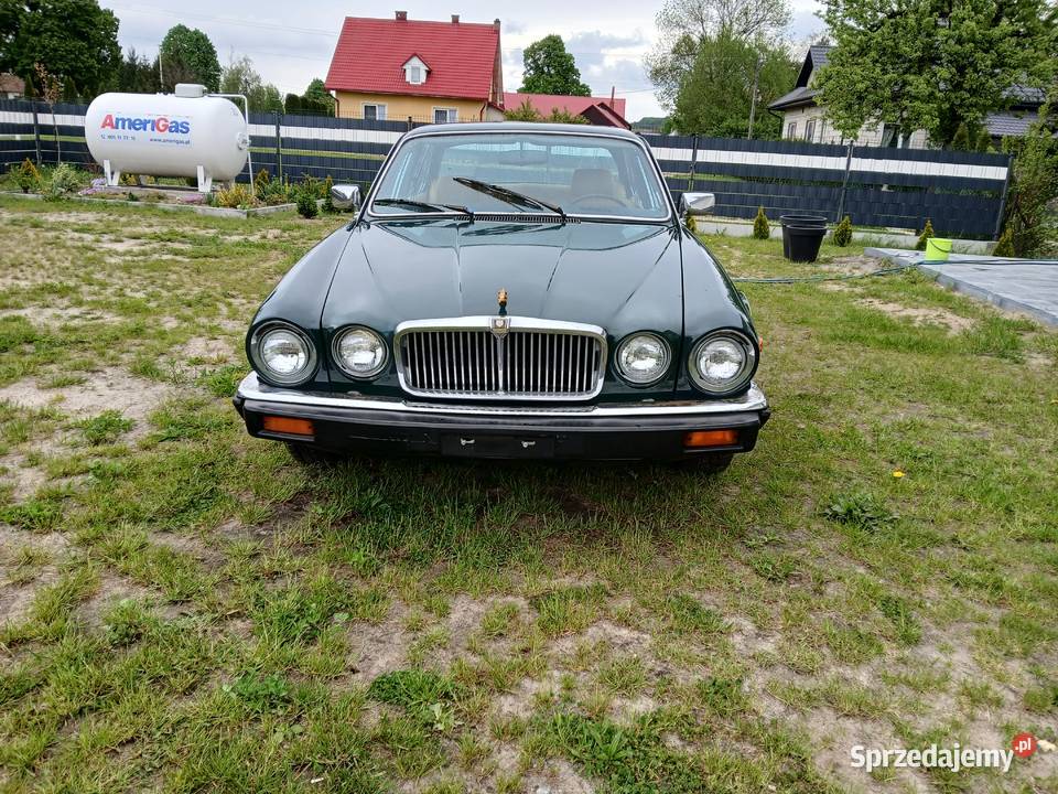 Jaguar xj6 42 USA Rok produkcji 1981 Narol
