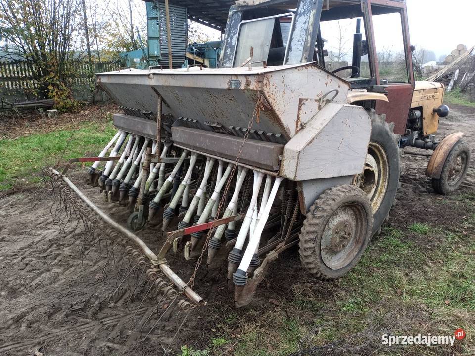 Siewnik poznaniak Parzęczew