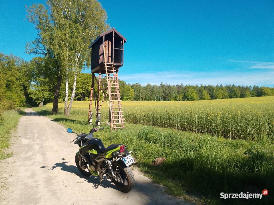 Sprzedam Junak Racer 125