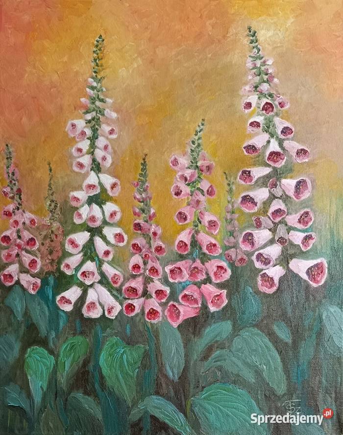 Obraz olejny Naparstnice Lublin