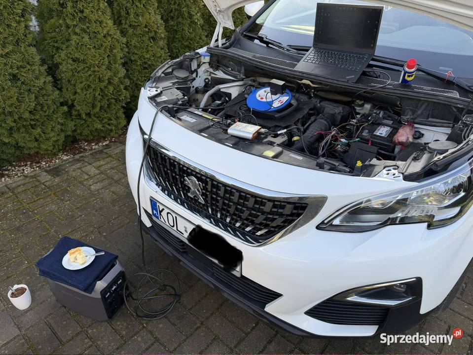 AdBlueDPFEGR ochrona komponentu chiptuning Kraków