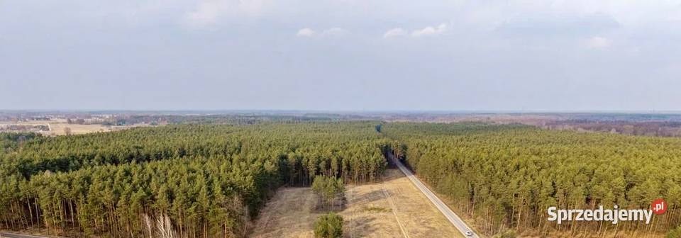 DZIAŁKA BUDOWLANA 1000 m ASFALT LAS SPOKOJNA 110zł/m2 mazowieckie Krawcowizna sprzedam