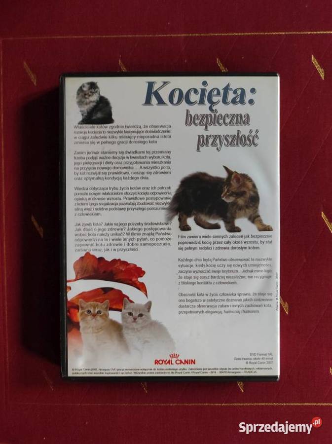2007 film dvd Royal Canin Kocięta bezpieczna DVD Kielce