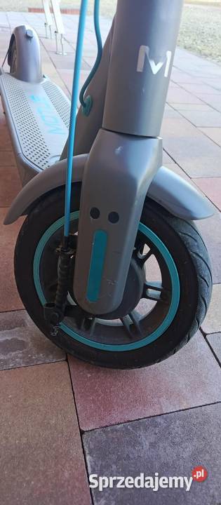 Hulajnoga motus scooty 10 Bieździedza