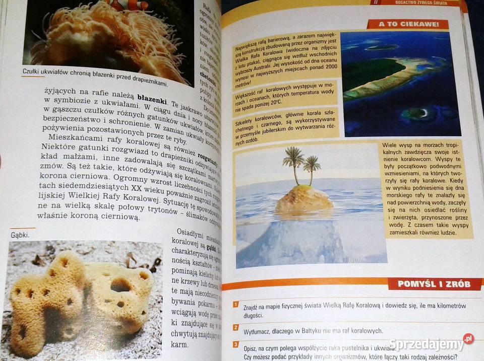 Spotkania z przyrodą 5 A Czubaj R Czubaj R Chełm