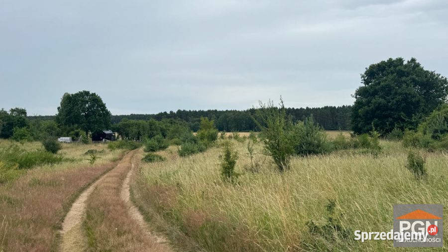 Grunt Domysłów 810m