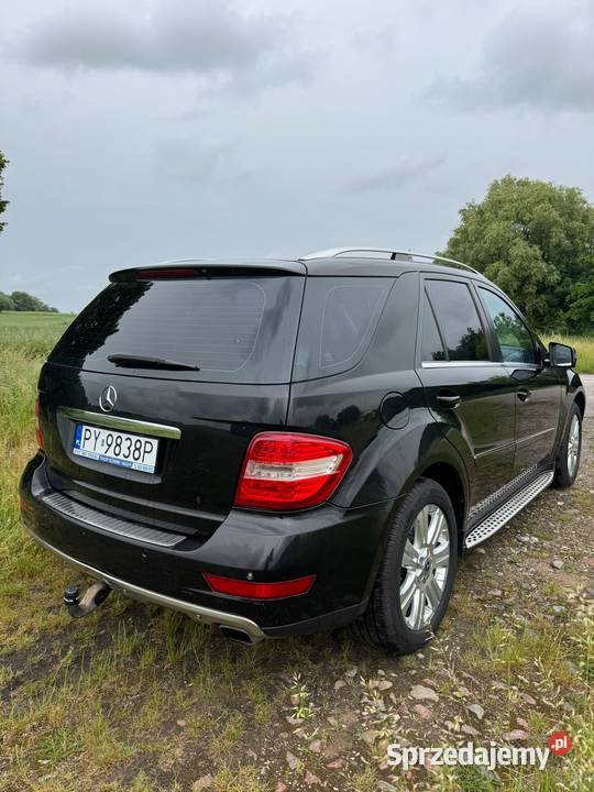 MercedesBenz ML Wilczyna