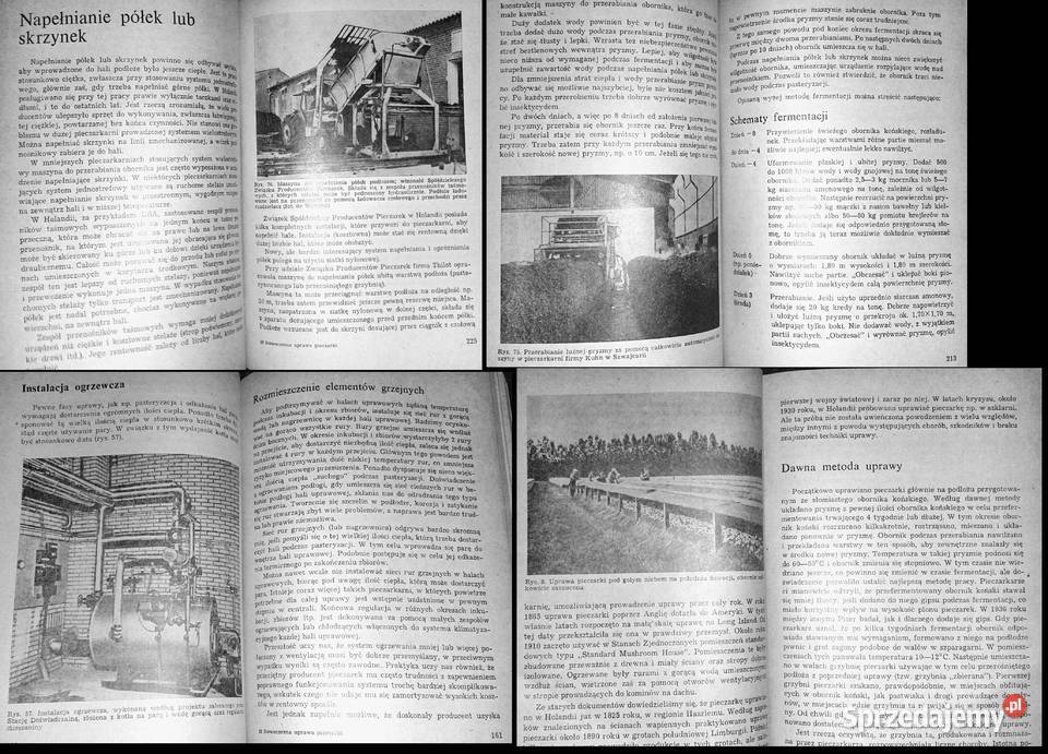 Nowoczesna uprawa pieczarki PJC Vedder Chełm