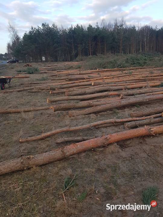 Stemble drewniane mocne proste Lisków usługi budowlane