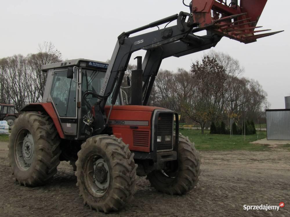Massey Ferguson 3650 Męczki