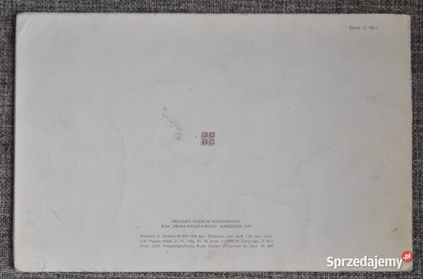 Grzyby galopują na koniach M Piotrowski