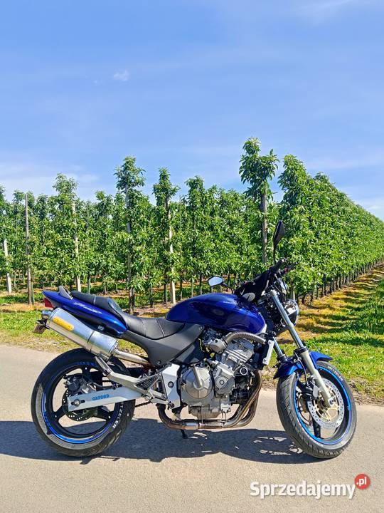 Honda CB600F Hornet A2 Sternalice
