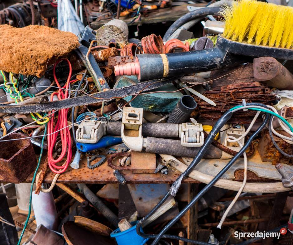 Dezynfekcja i sprzątanie zgonach Żychlin Vector łódzkie