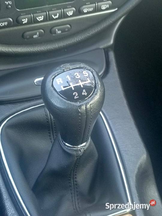 Jaguar Stype Suchy Las