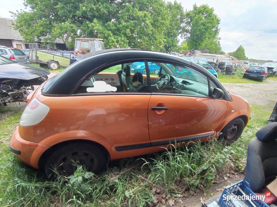 Citroen C3 Pluriel 14 54 kW 2004 r dawca części Rok produkcji 2004 Szklarka Myślniewska sprzedam