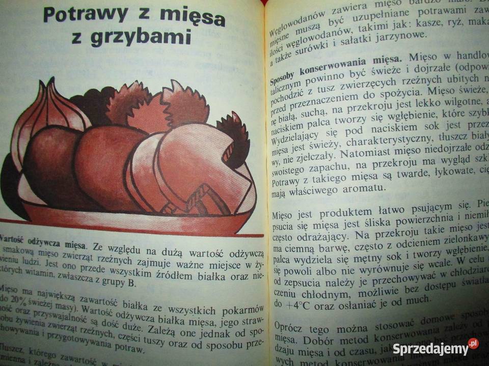Obiady u Kowalskich Potrawy z grzybów i Potrawy Łódź