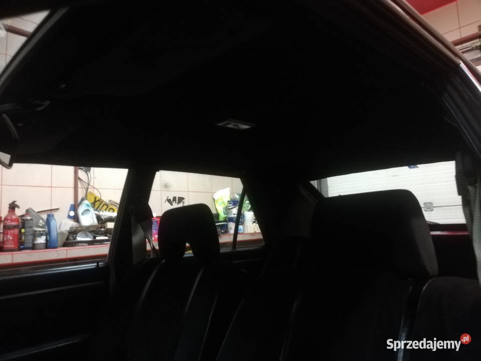 Borewicz export MISTRAL mazowieckie Pruszków