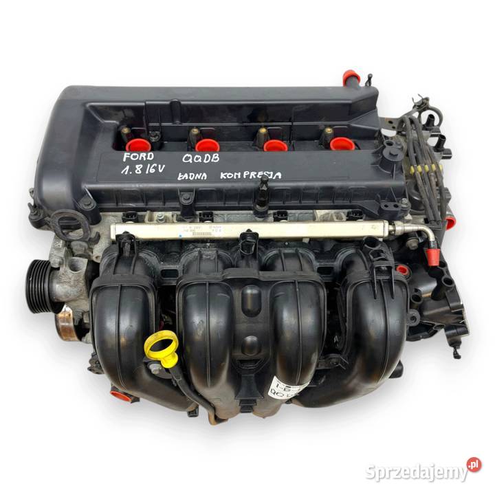 SILNIK QQDB Ford Focus II MK2 C C 18 16V 125 Chełm sprzedam