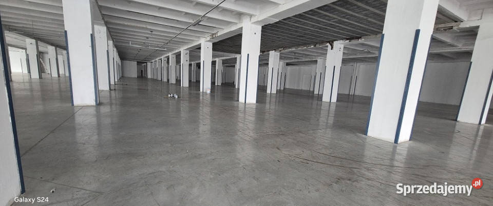 hala magazynowo produkcyjna 7500m2 Wynajem