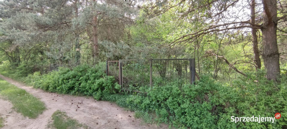 Działka 1653m2RudunkiStępowizna Zgierz sprzedam