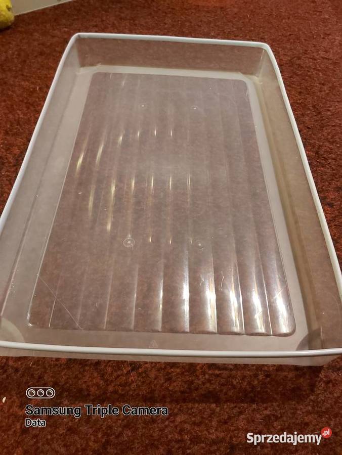 Wkład wieczny do kuwety samoczyszczącej marki Dla kotów świętokrzyskie Wiślica