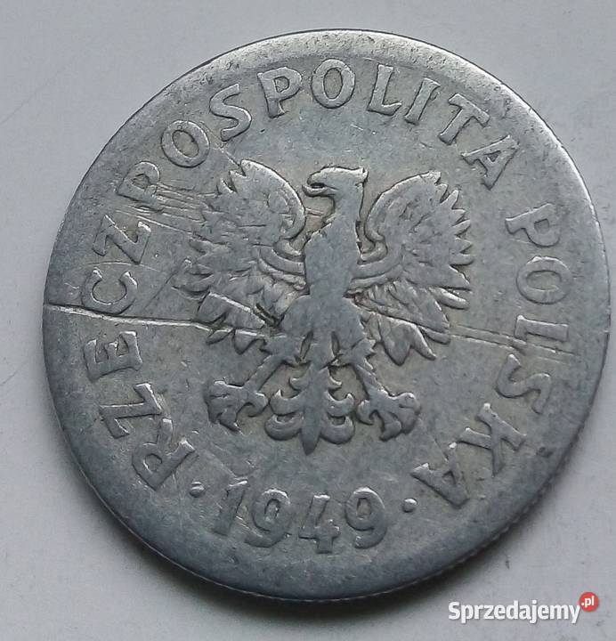 POLSKA50 GROSZY1949 rbzAL Kolekcje