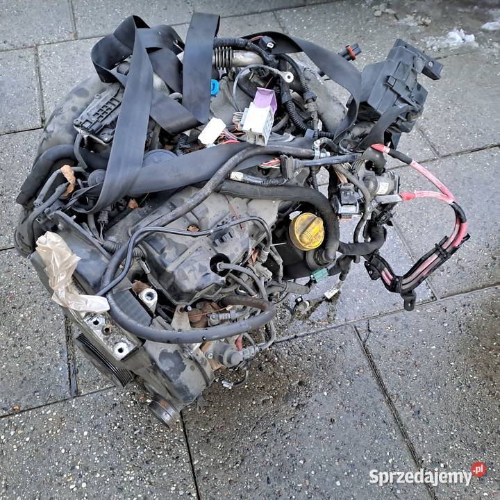 Renault Scenic III 19 DCi silnik kompletny kod Silniki kompletne Jastrzębie-Zdrój