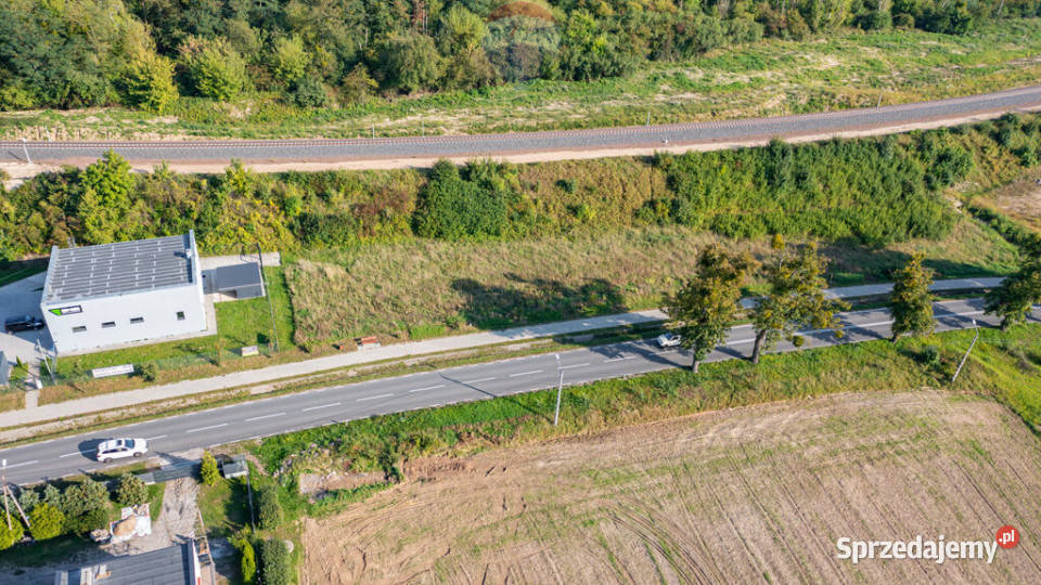 Działka z biznesem z potencjałem rozbudowy Lokale użytkowe Rozpędziny