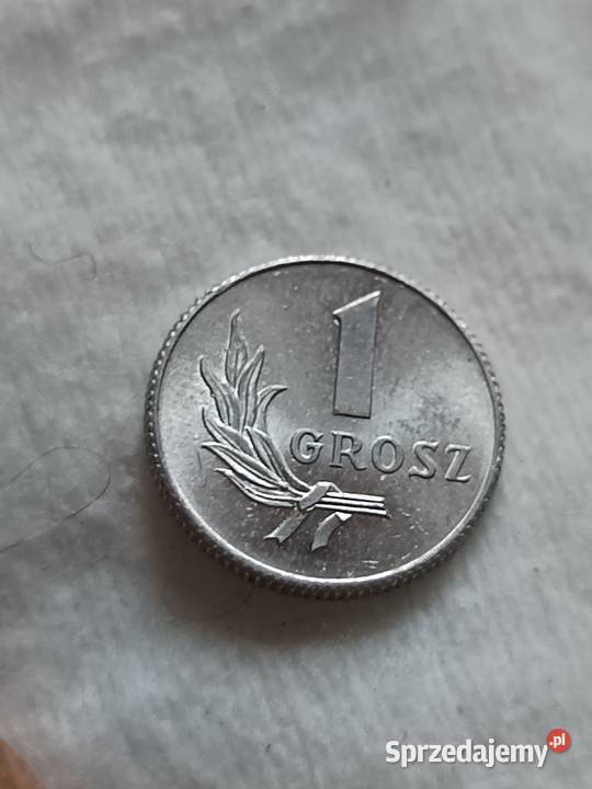Sprzedam monete 1 grosz 1949 nnn Numizmatyka