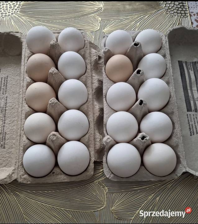 Wiejskie jaja sprzedaż Raba Niżna sprzedam