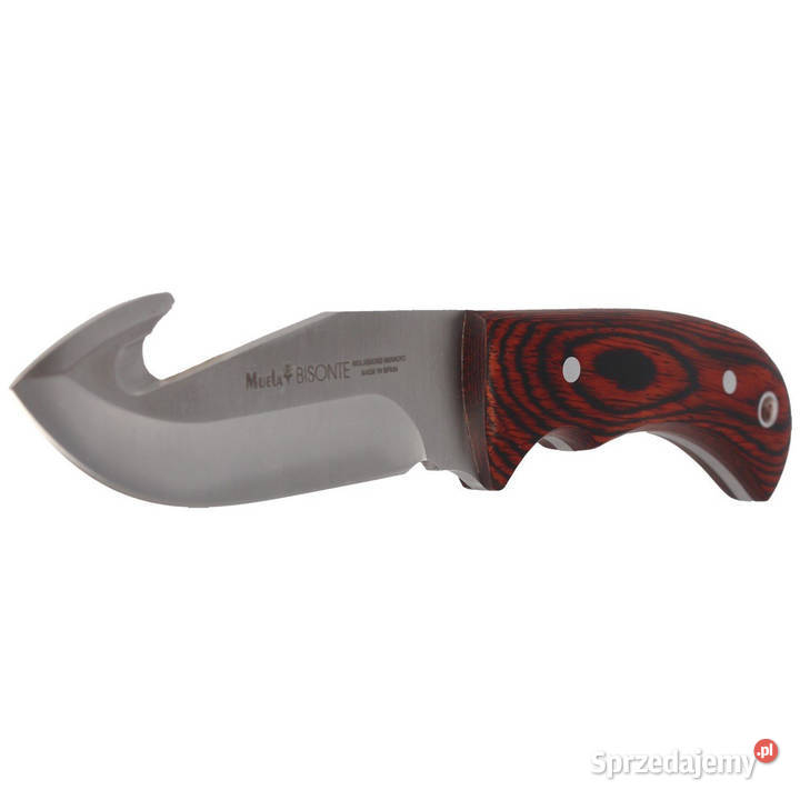 Nóż Muela Bisonte11R Pakka Wood Satin X50CrMoV15 Warszawa