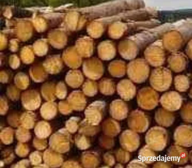 Drewno do kominkapieca opałowe różne rodzaje Ogrodzieniec