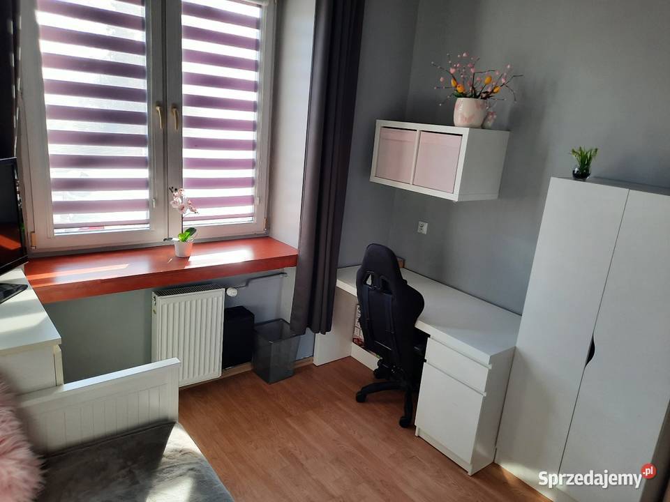 3 pokojowe mieszkanie na parterze Liczba pokoi 3 kujawsko-pomorskie Włocławek