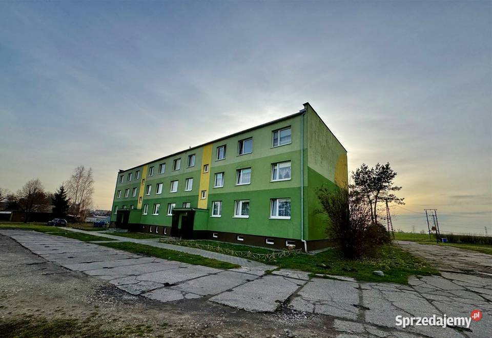 Mieszkanie 536 działka 522m garaż Salno