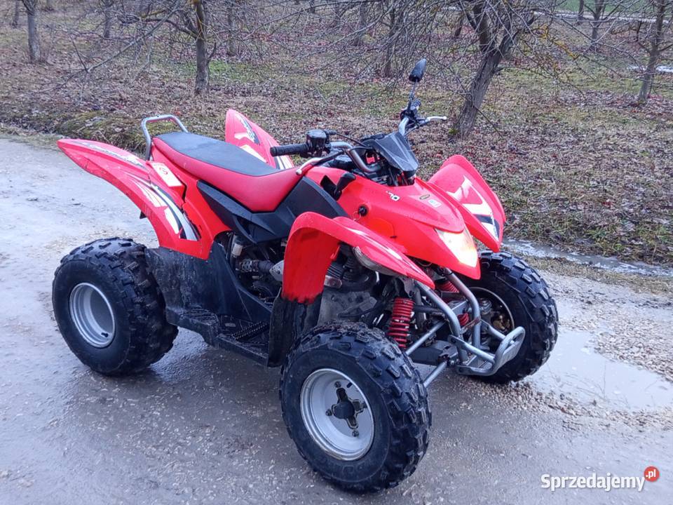 Quad Aeon Cobra 220 2005 Kat B L7E 1143 Przebieg quad - ATV Jędrzejów