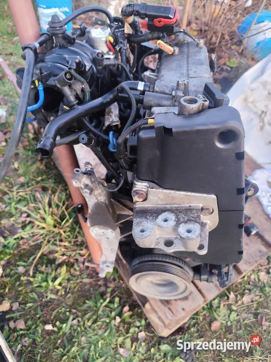 Silnik do Fiata Grande Punto Grande Punto podkarpackie Łańcut