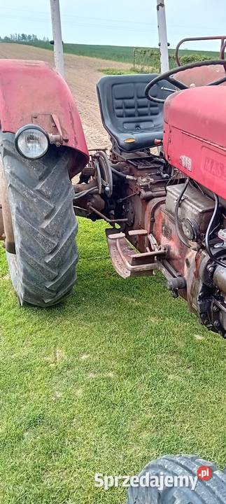 Massei ferguson 65 Zamość