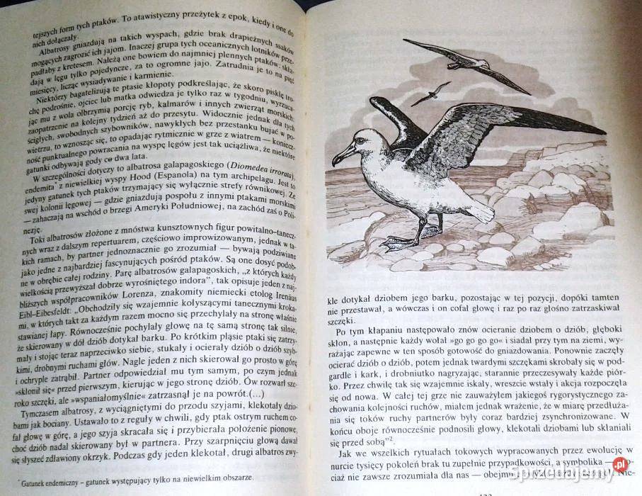 Zwierzęta zwierzęta Andrzej Trepka Rok wydania 1989 sprzedam