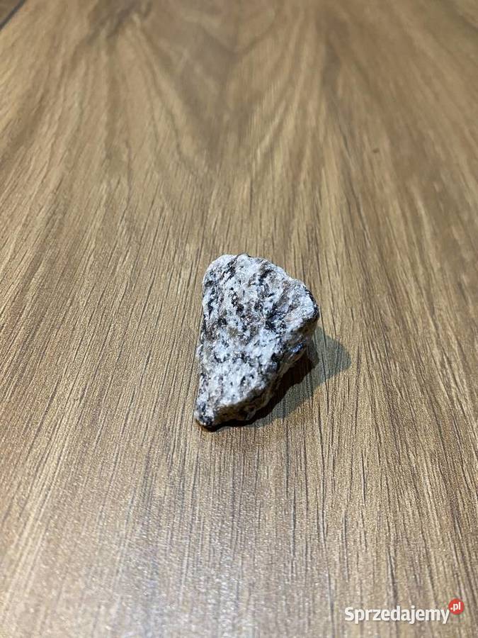 Grys granitowy dalmatyńczyk